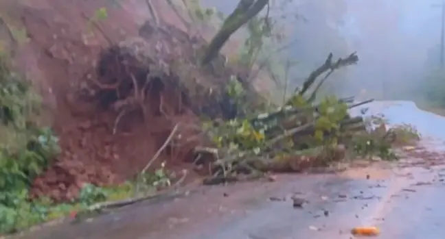 Uma árvore também caiu devido ao deslizamento, mas já foi removida (Foto: AI Prefeitura/Divulgação)