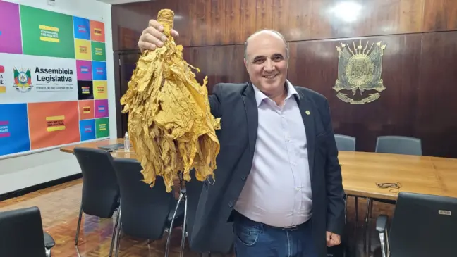 deputado zé nunes